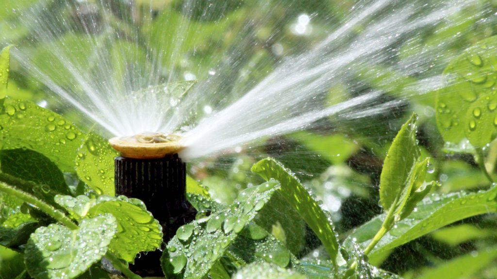 Greenbug System offers automatic pest control through your irrigation